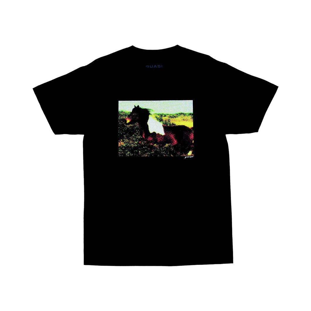 Quasi Blaze Tee - Black
