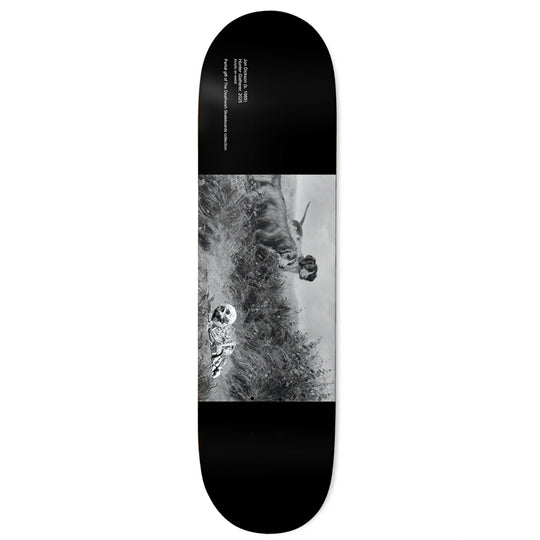 Deathwish Jon Dickson Museum Skateboard Deck - 8.5