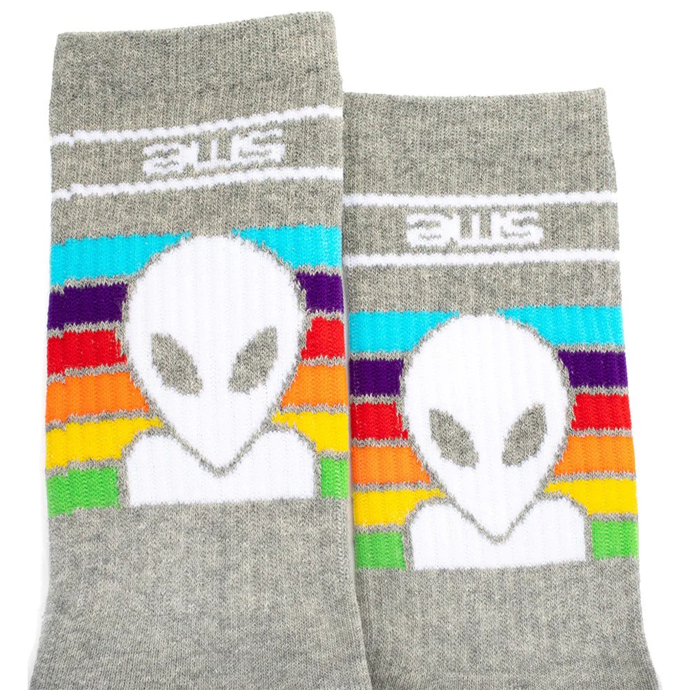 Alien Workshop Spectrum Socks (Pair) – Slugger Skate Store