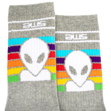 Alien Workshop Spectrum Socks (Pair)