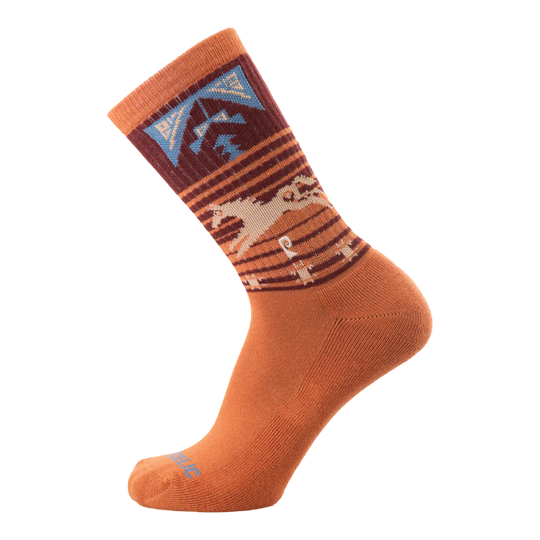 Psockadelic Free At Last Socks