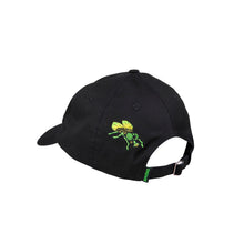 Santa Cruz Flys Cap - Black