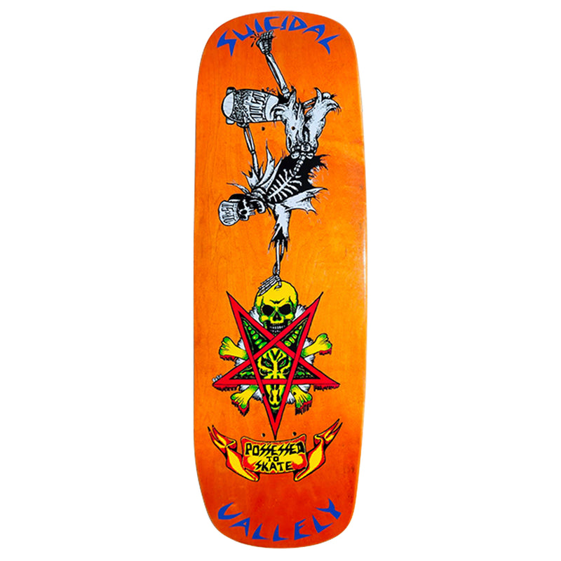 Suicidal Skates Mike Vallely Possessed To Skate Barnyard 90s