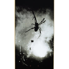 Fucking Awesome Spider Photo Skateboard Deck - 8.38