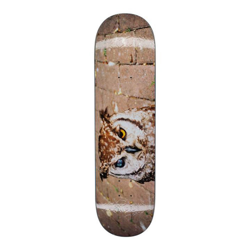 Fucking Awesome Jason Dill Owl Photo Skateboard Deck - 8.18